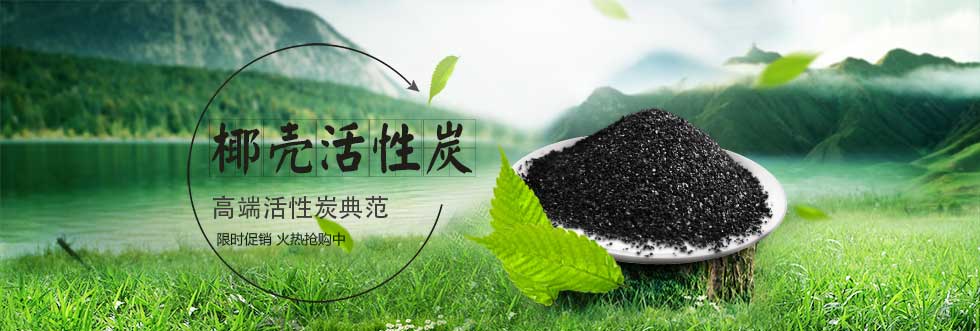 椰殼活性炭 椰殼活性炭